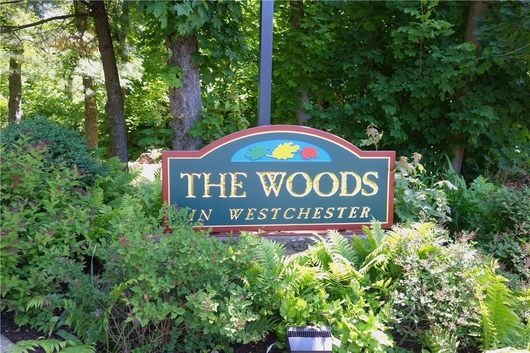Welcome to The Woods!