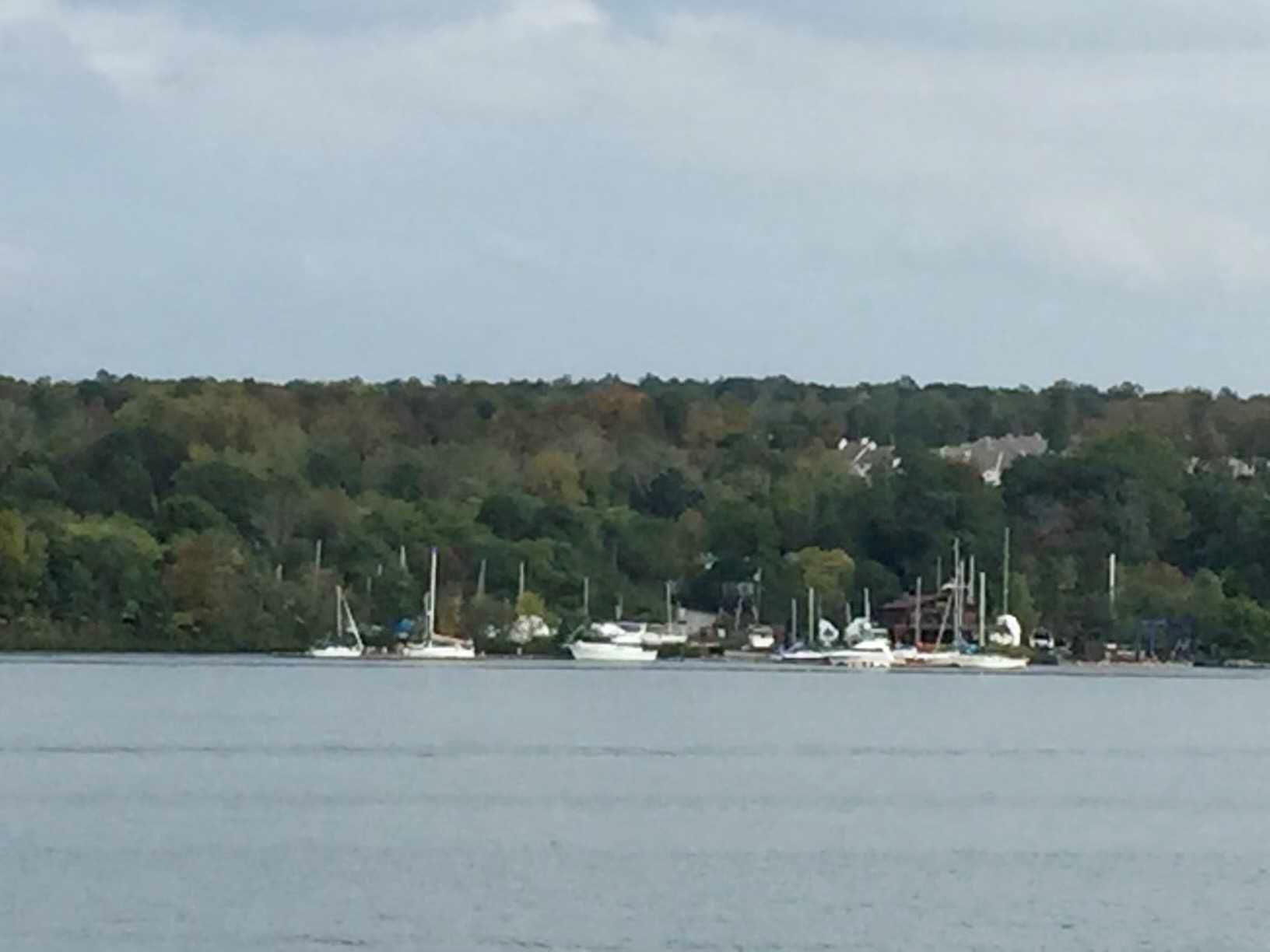 Beekman
