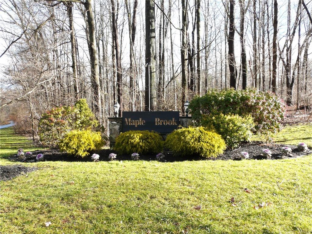 Community View
