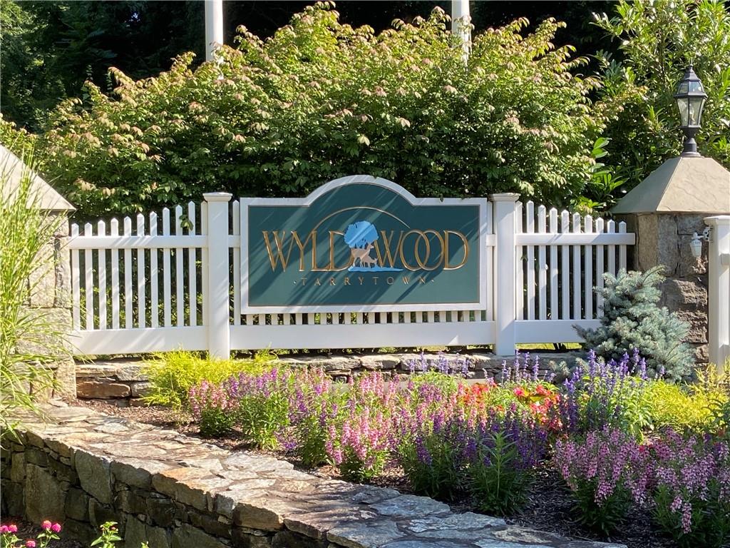 Welcome to Wyldwood!
