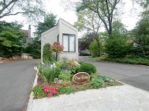 Community View
