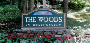 Welcome to The Woods!