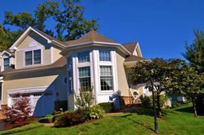 Community View