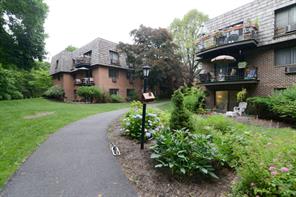 Community View
