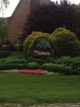 Buttonwood