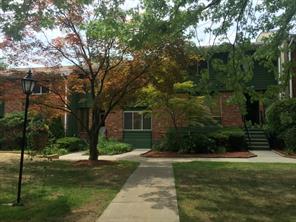 Community View
