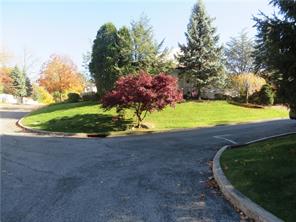 Community View