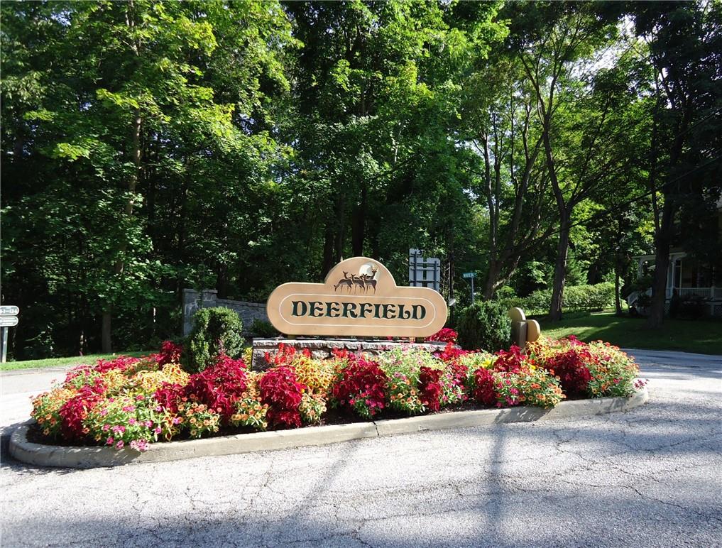 Welcome to Deerfield!