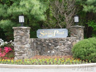Welcome to Spring Pond - a special condo association in Ossining.