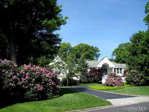 Community View