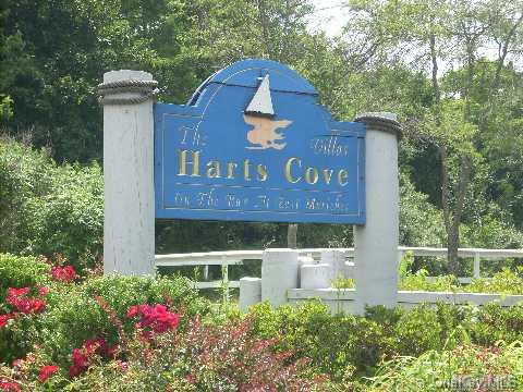 Community View