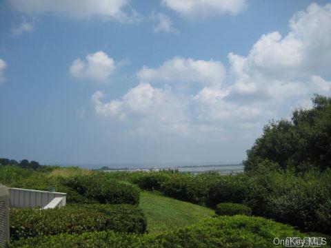 Community View