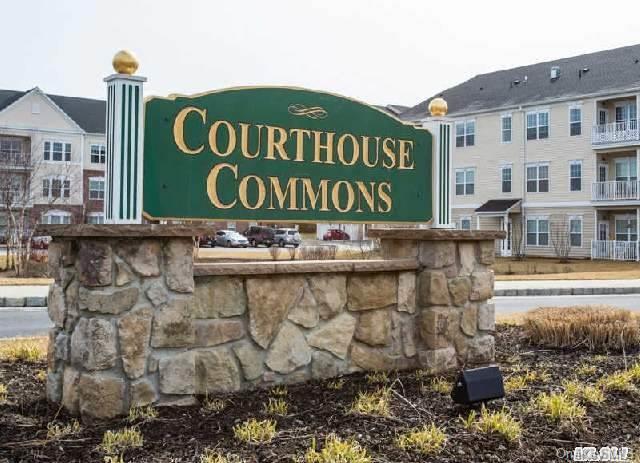 Birch