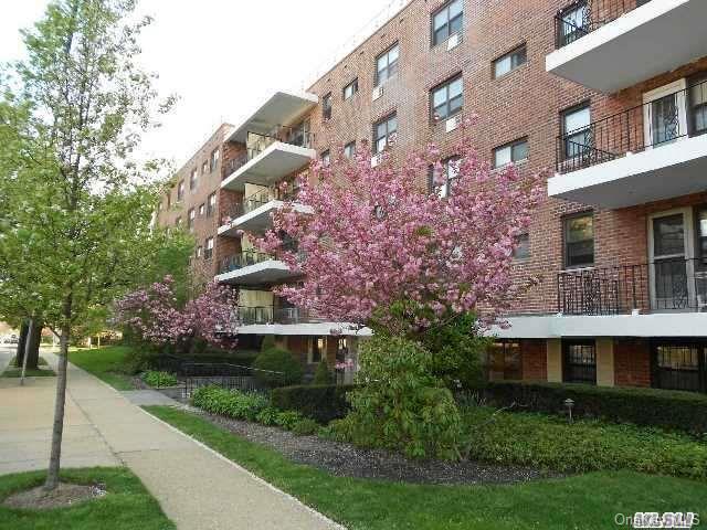 Community View