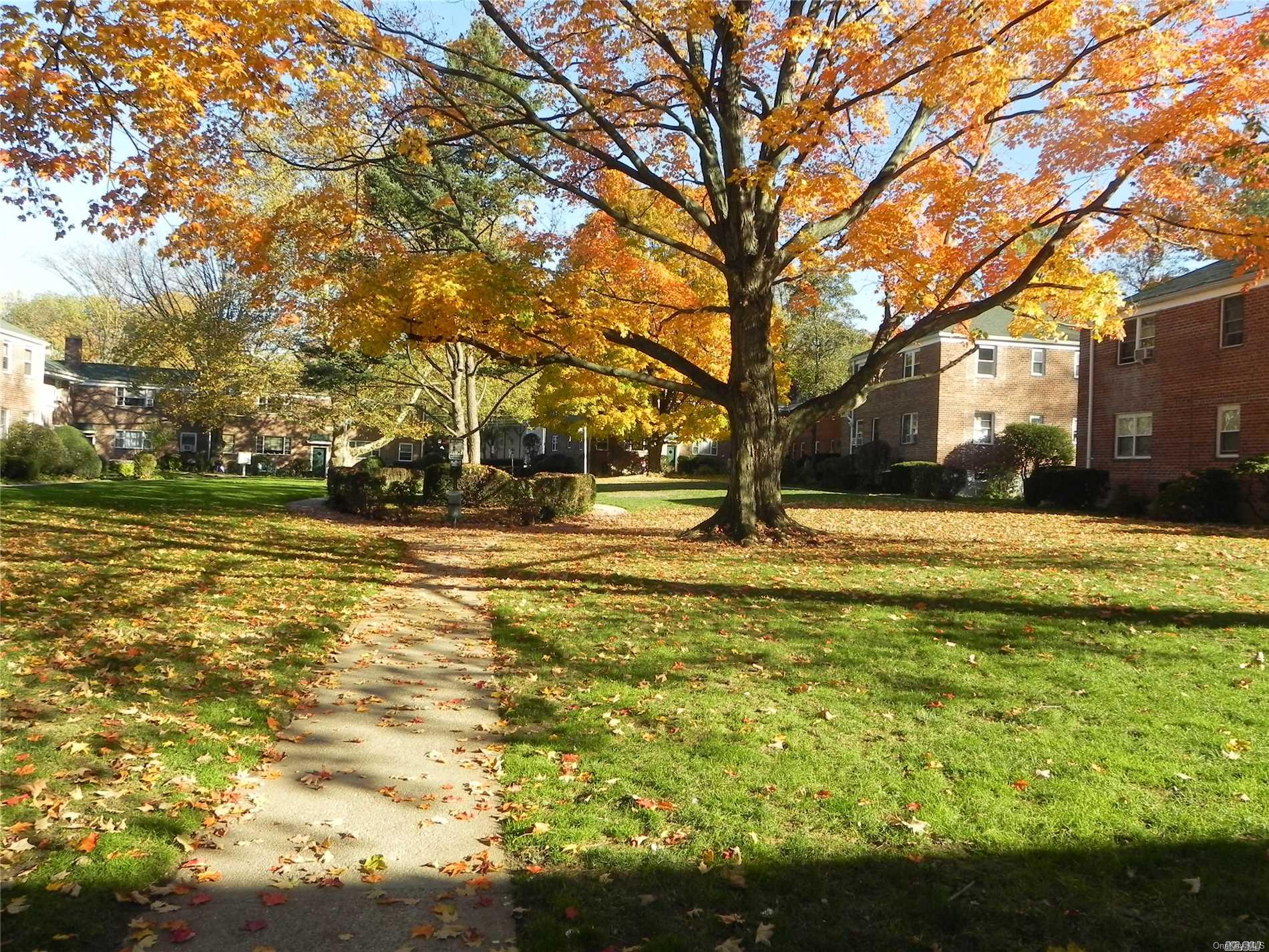 Community View