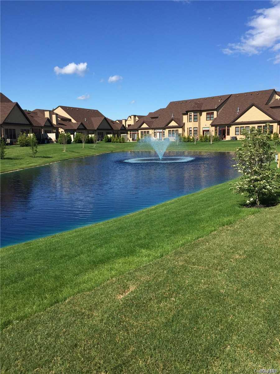 Pond View