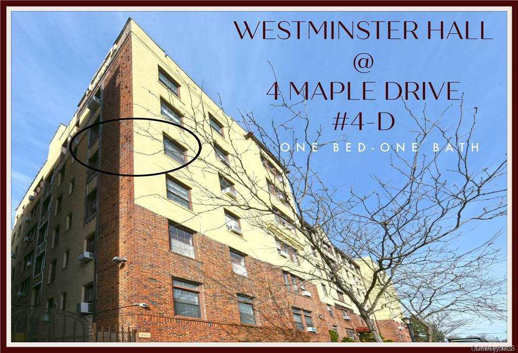 4 MAPLE #4-D