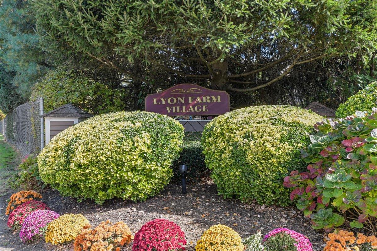 Community View
