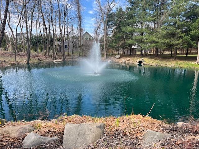 Water view