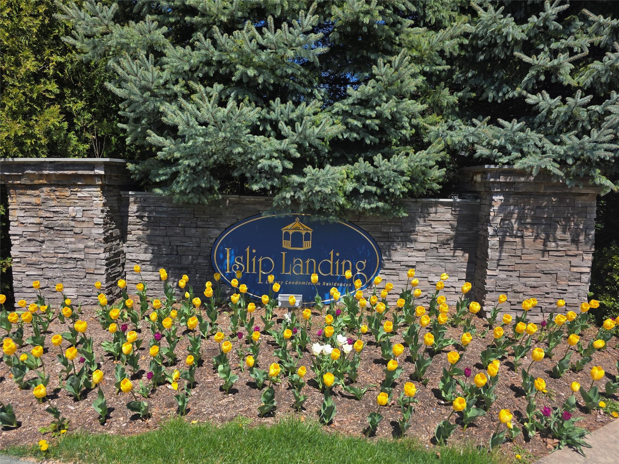 Community View