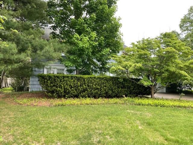 View of Front