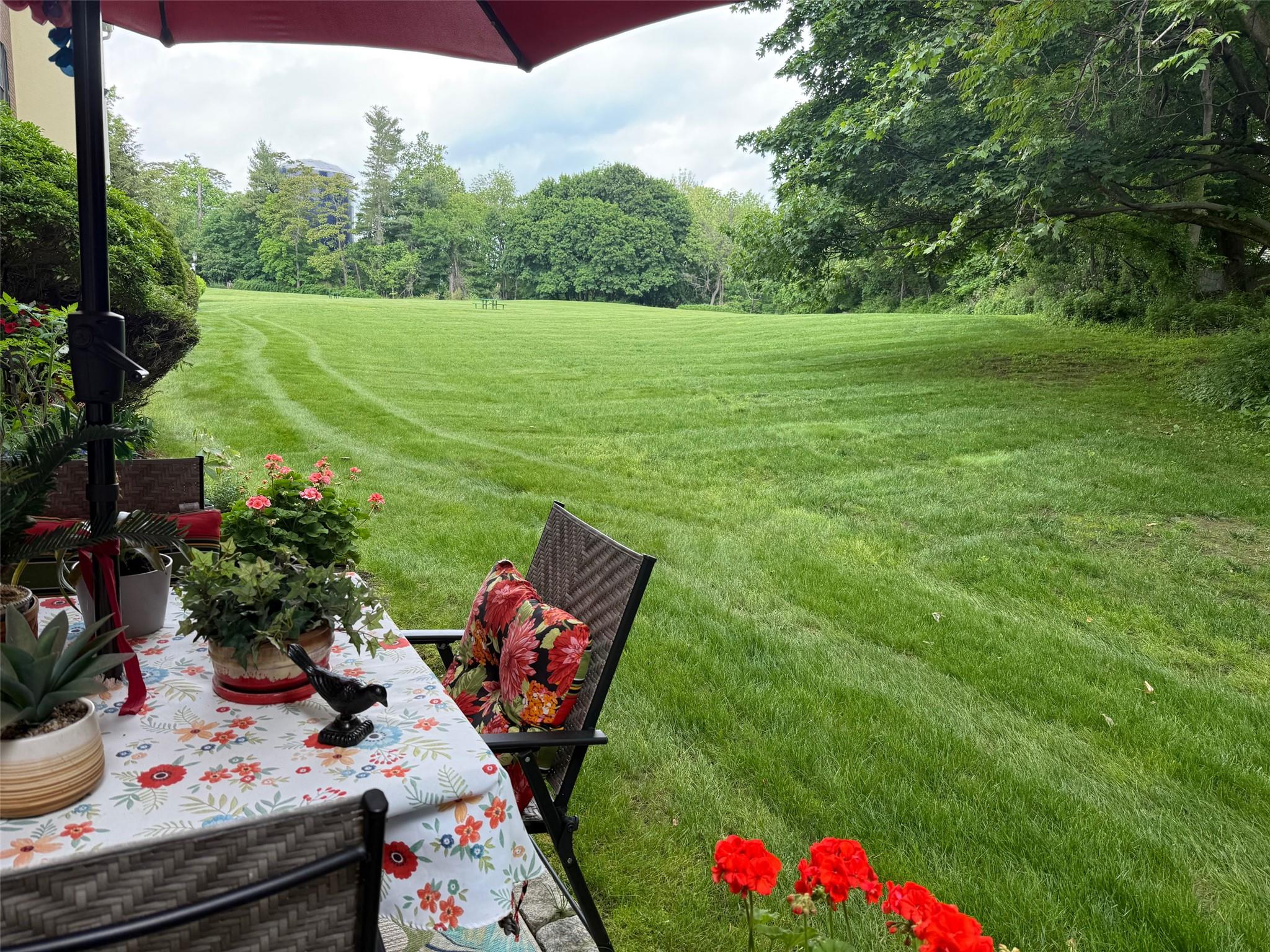 View of grassy yard