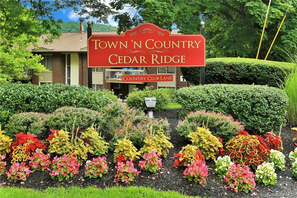 Community View