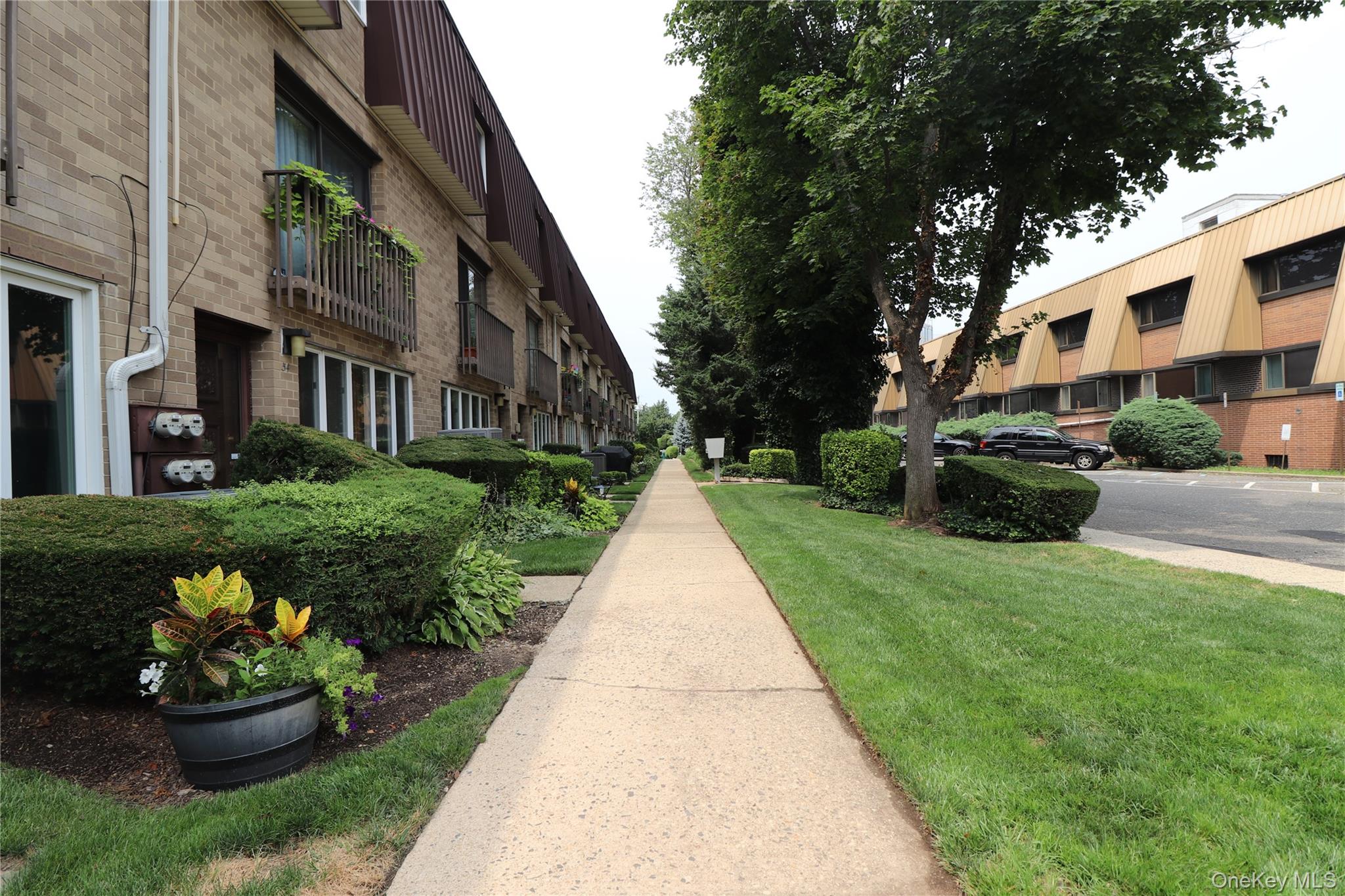 View of community featuring a yard