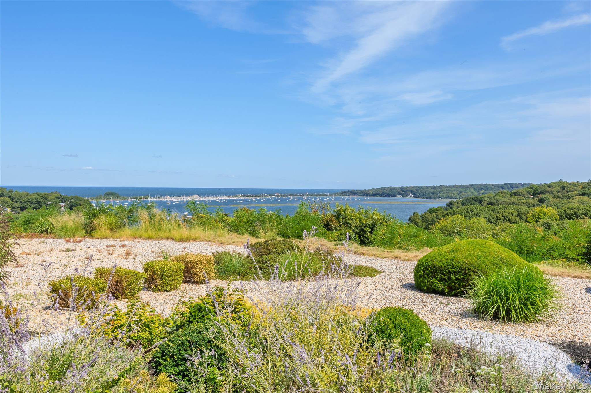 Community View