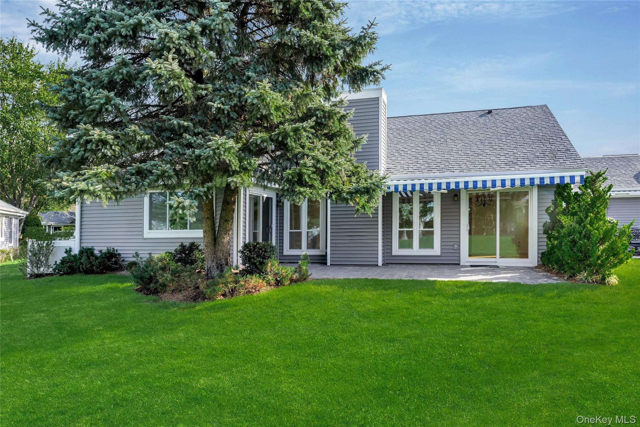 Back of property featuring a yard, a patio area, and roof with shingles