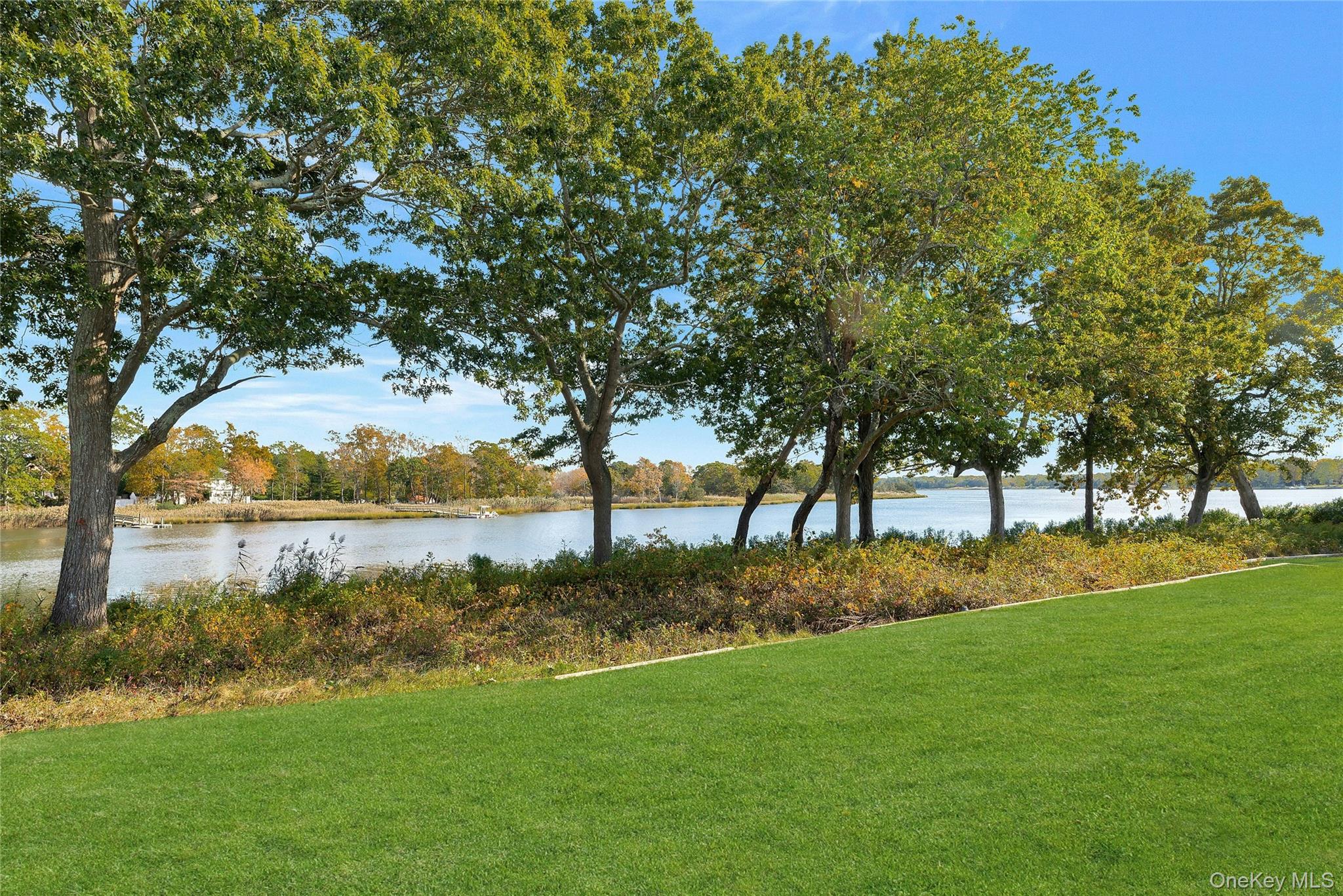 Community View