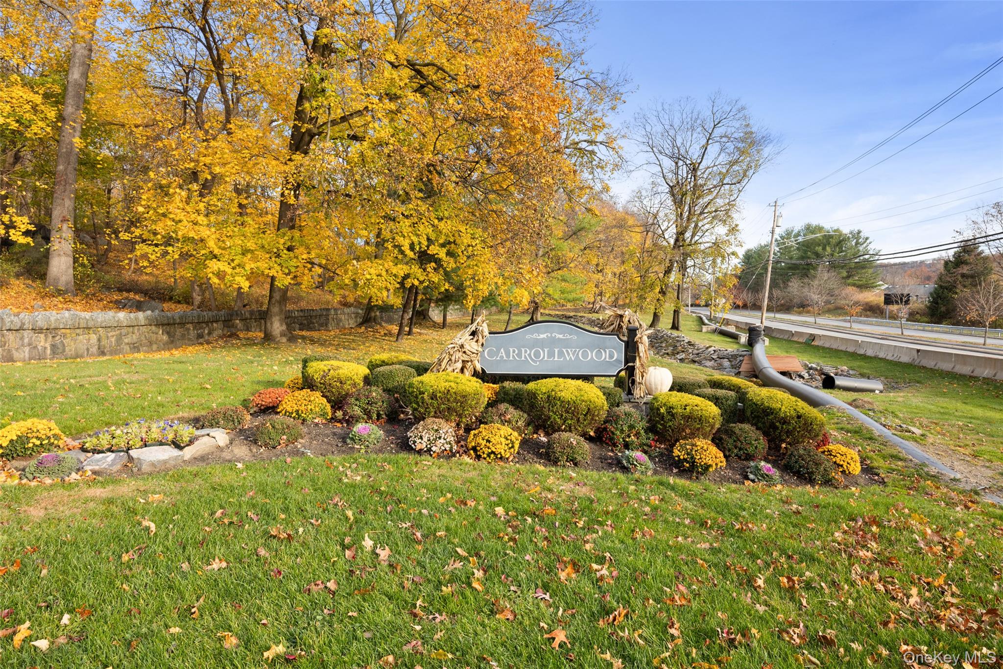 Community View