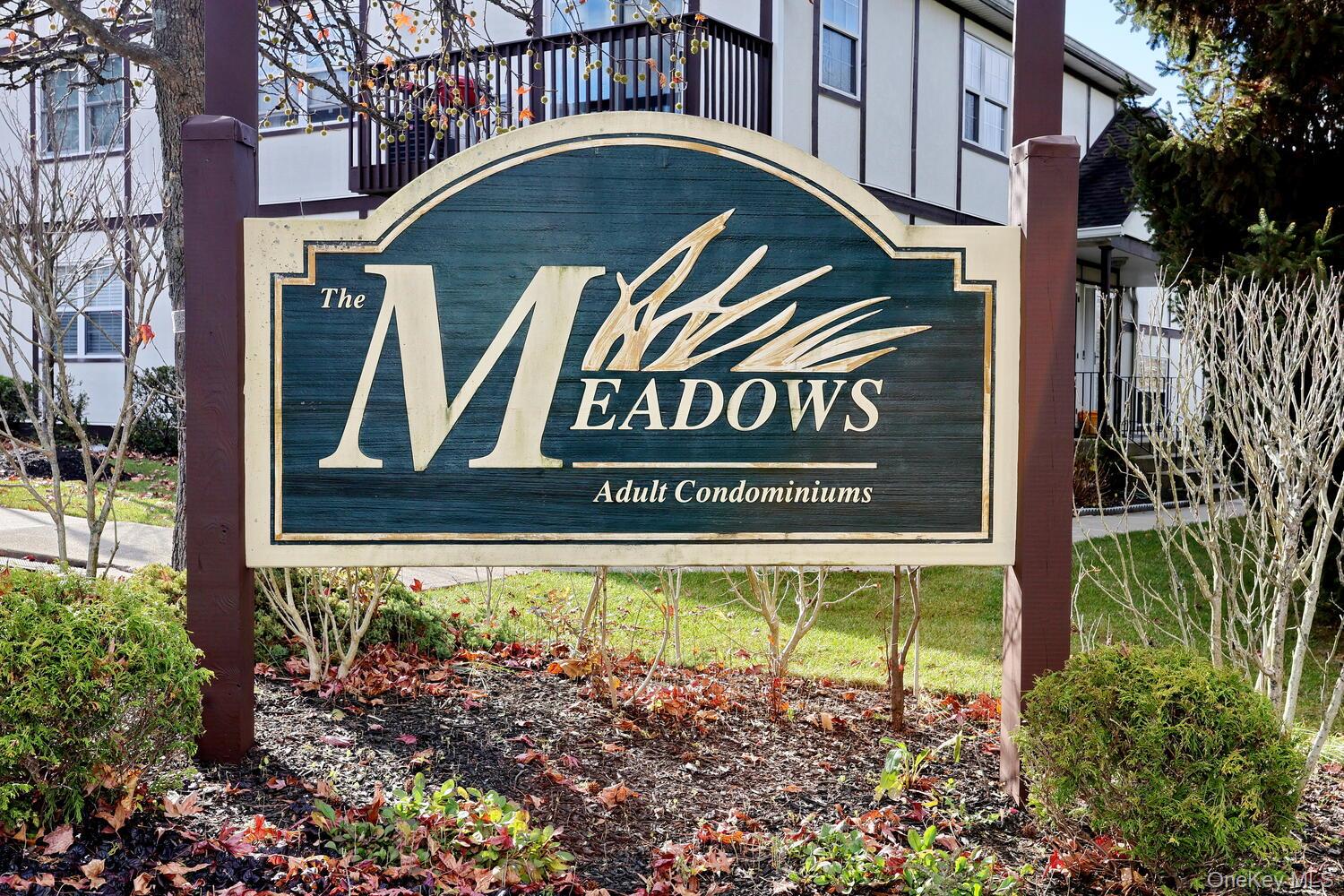 Welcome to The Meadows, a 55+ Adult Community.