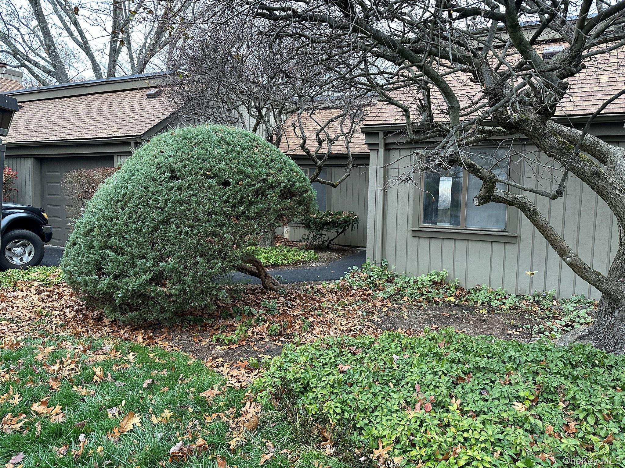 Community View