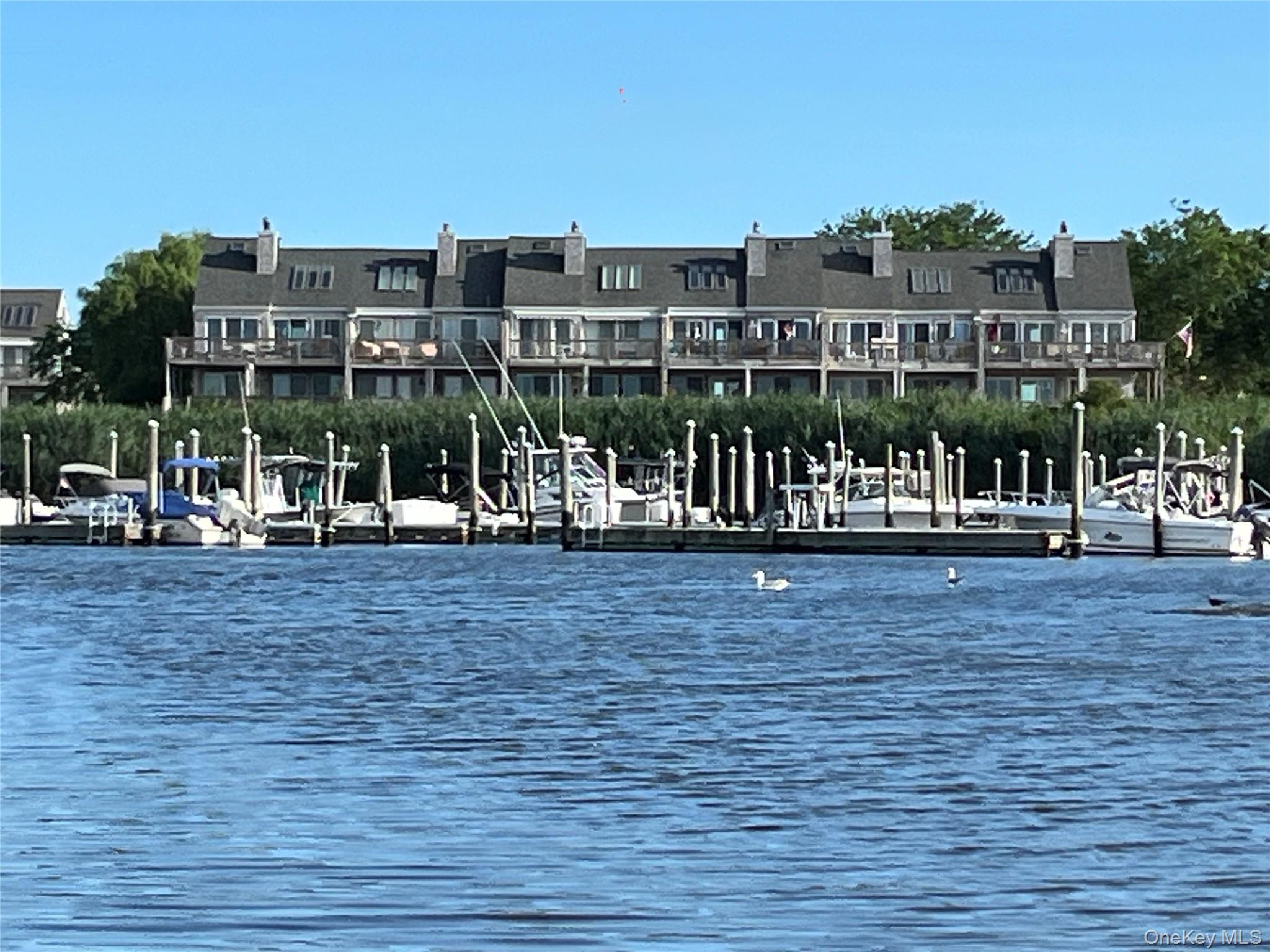 Community View