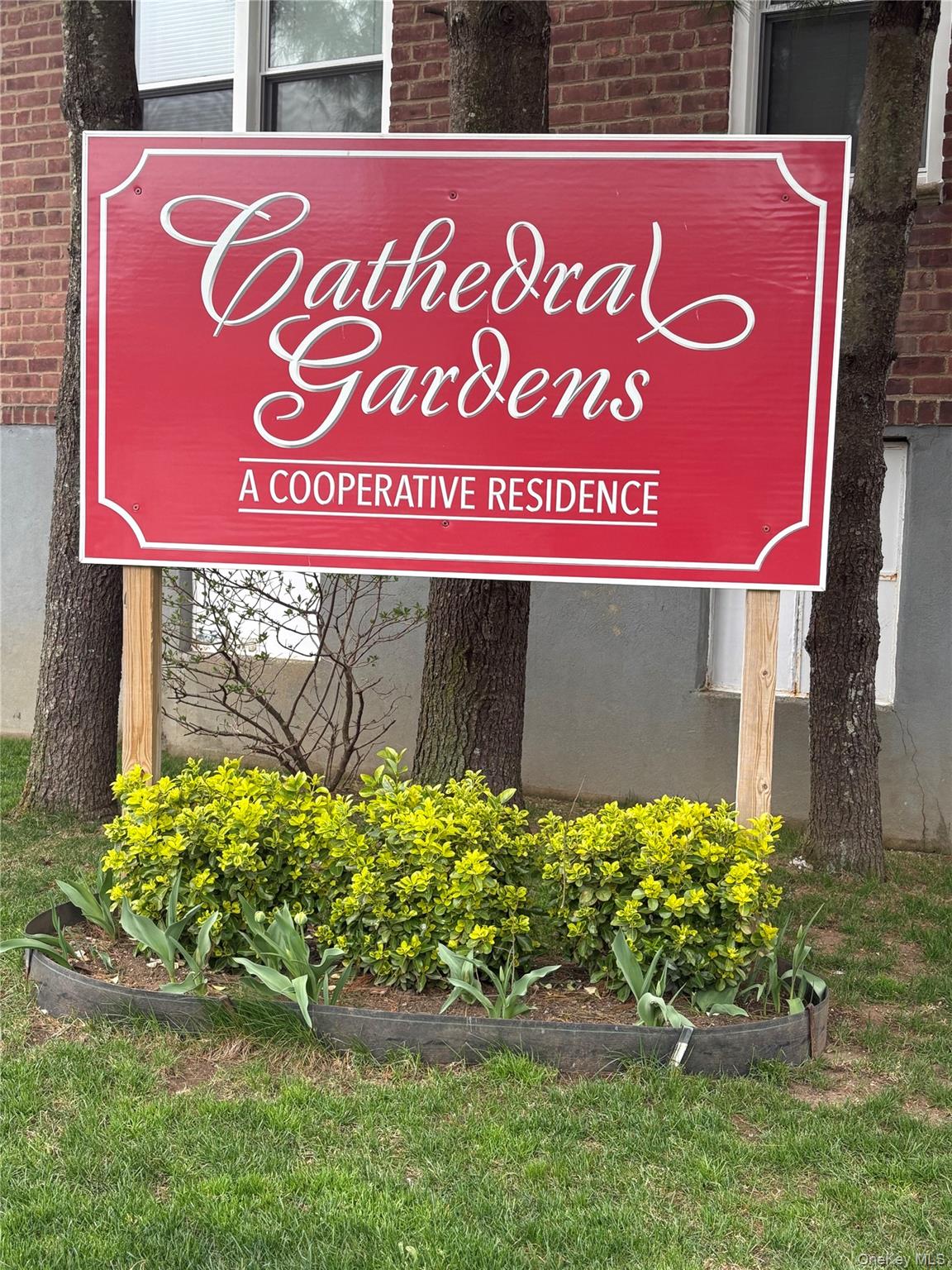 Community View
