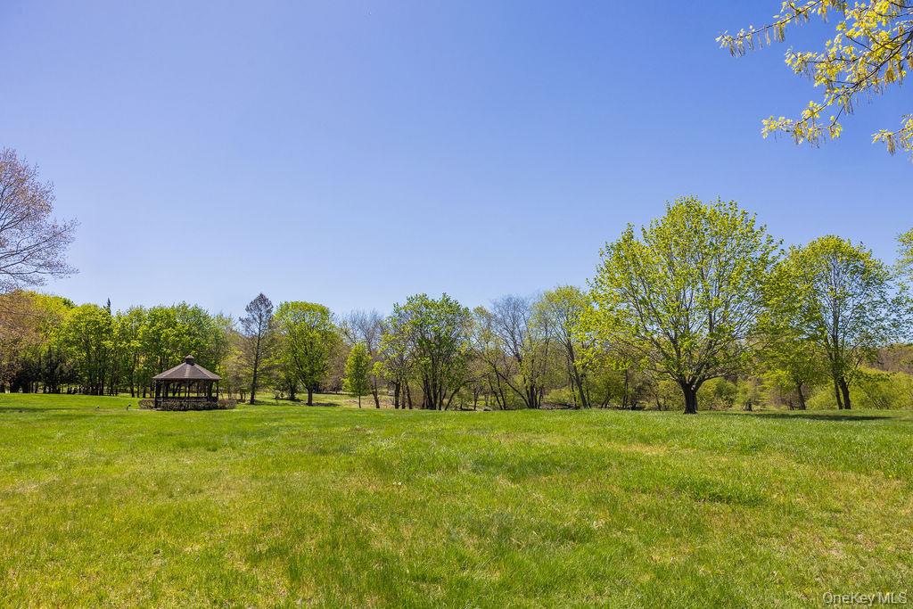 Community View