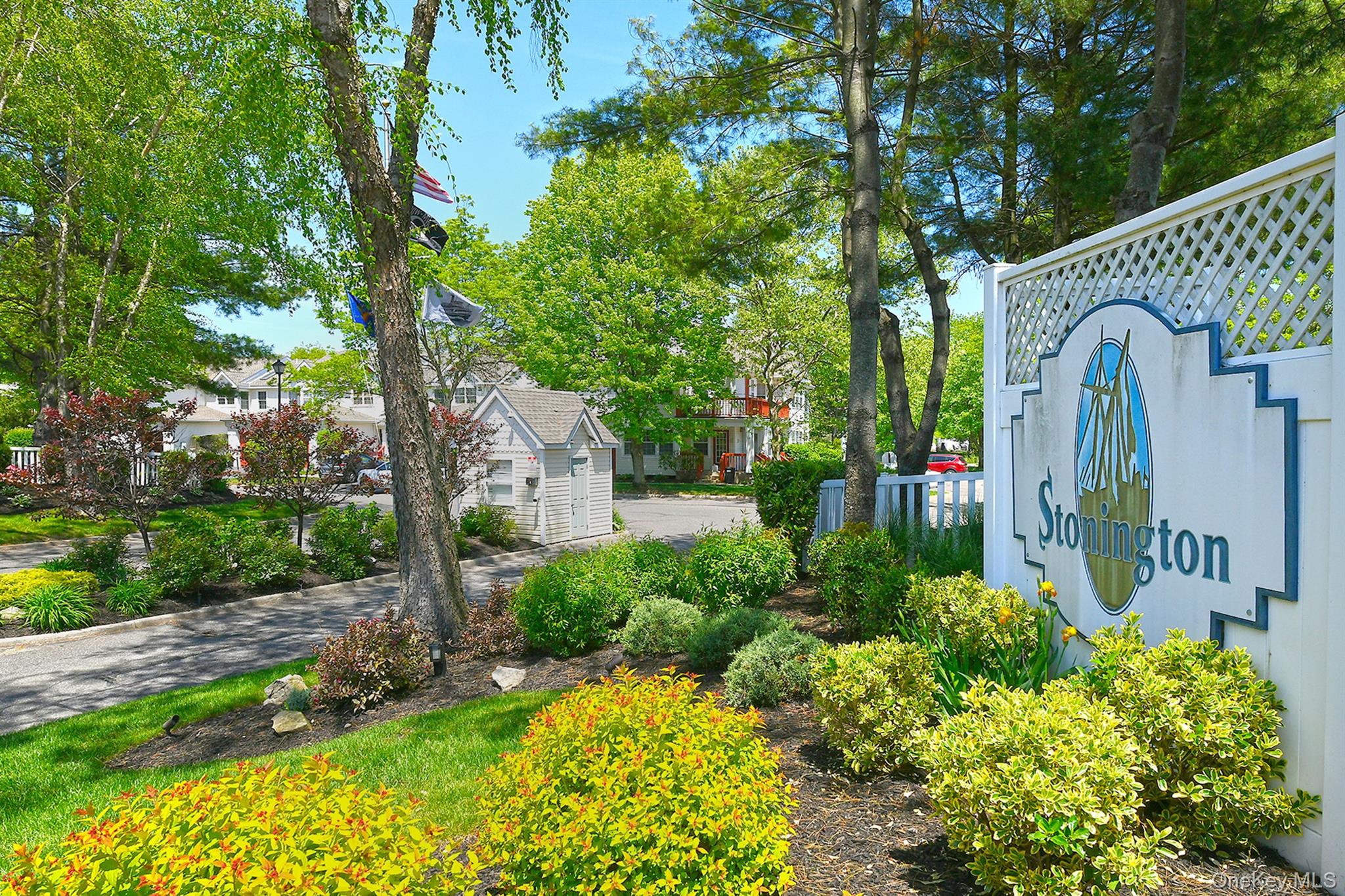 Community View