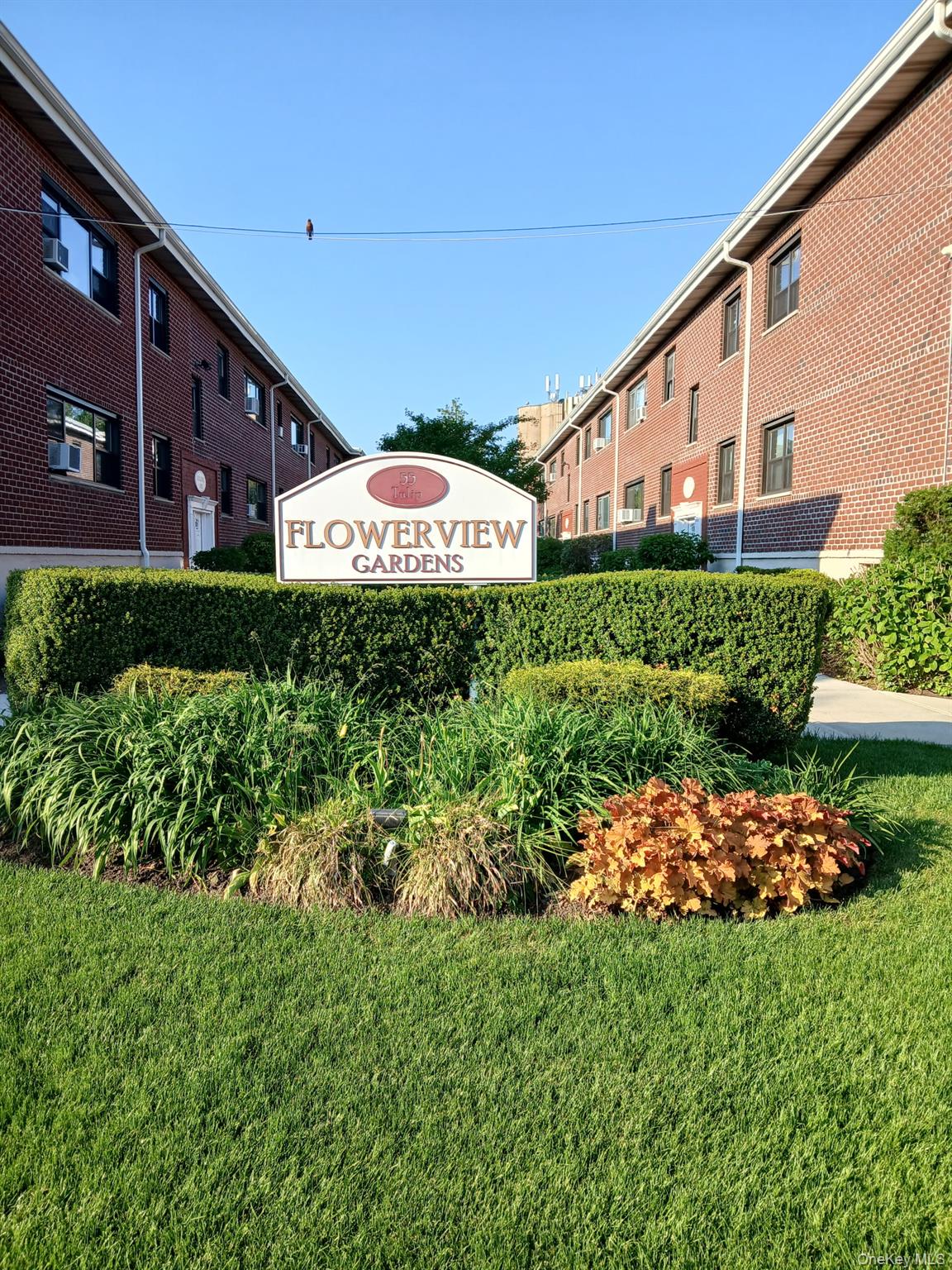Community View
