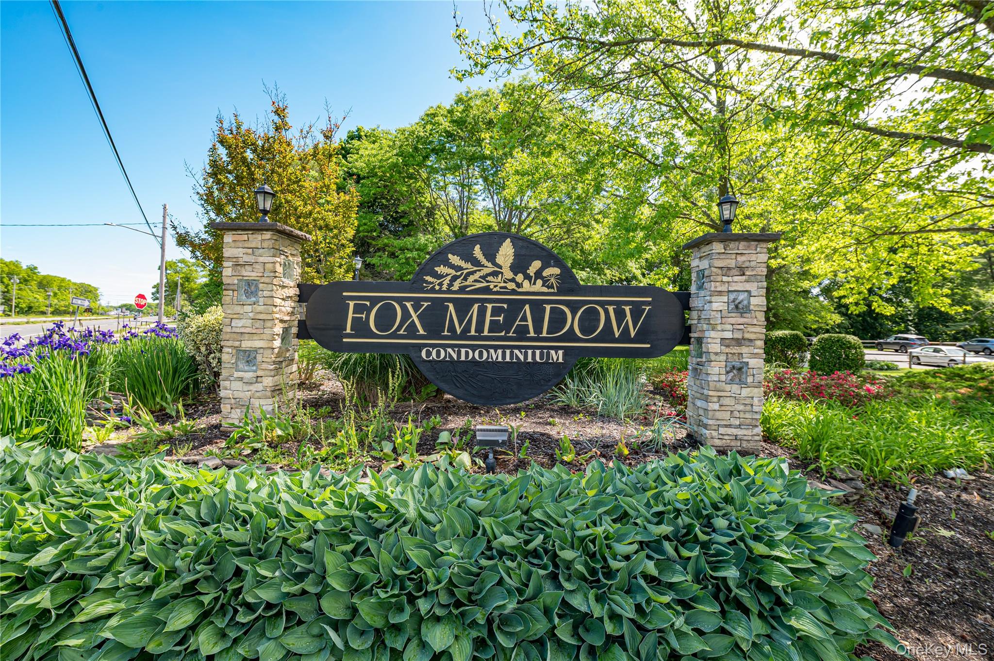 Community View