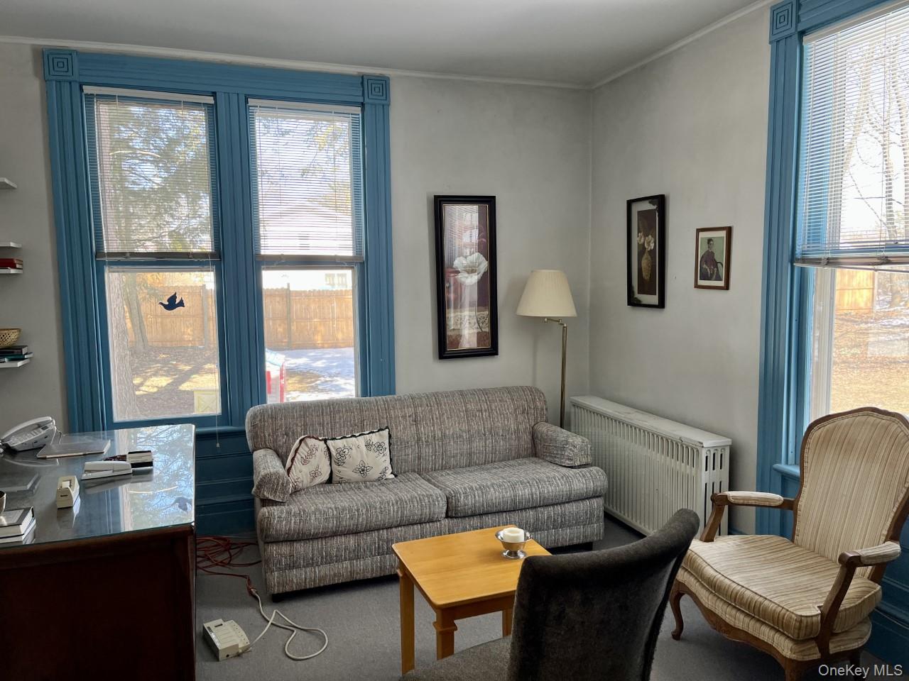 Living room with radiator heating unit and crown molding