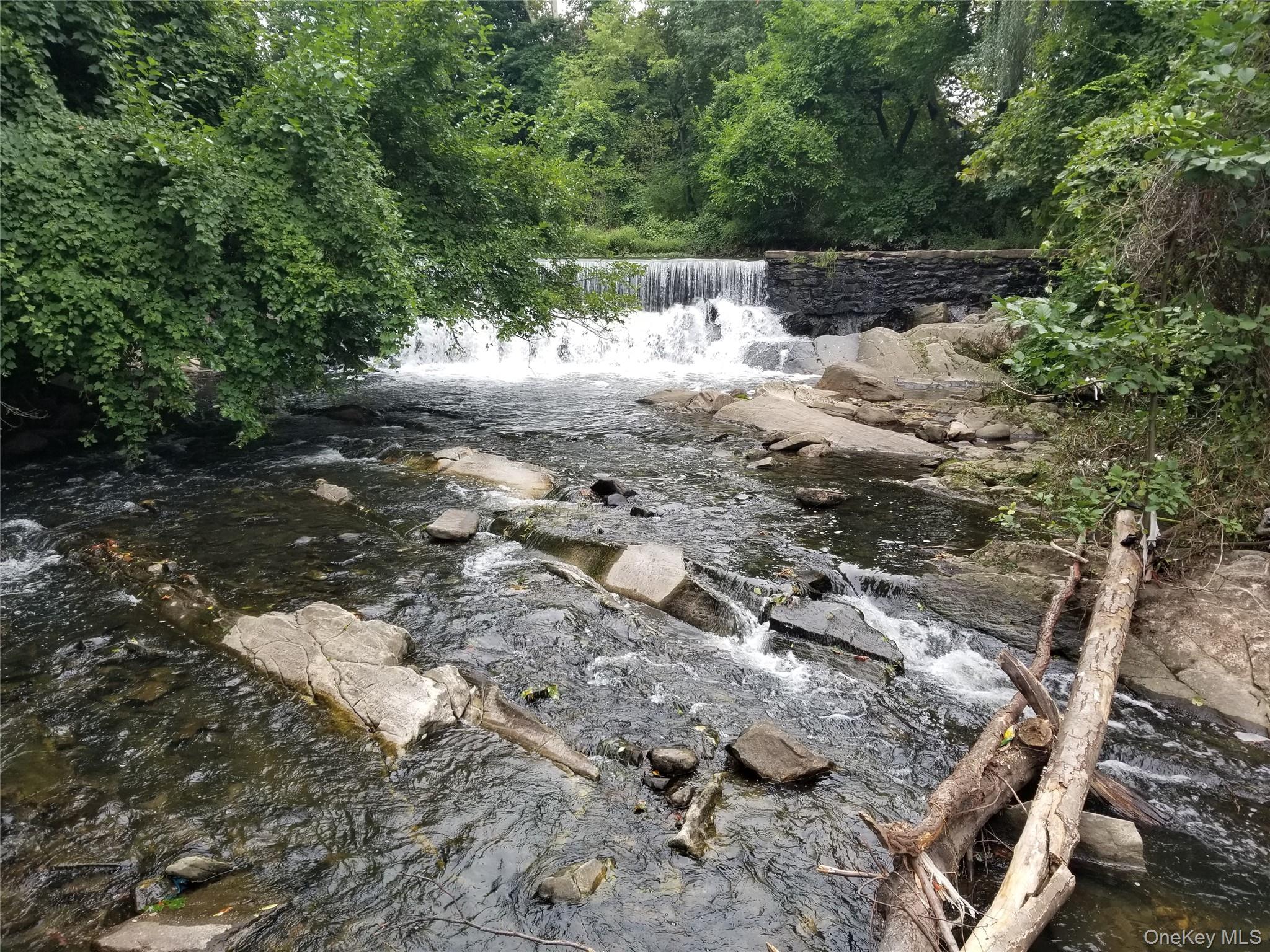 Garth Woods park nearby