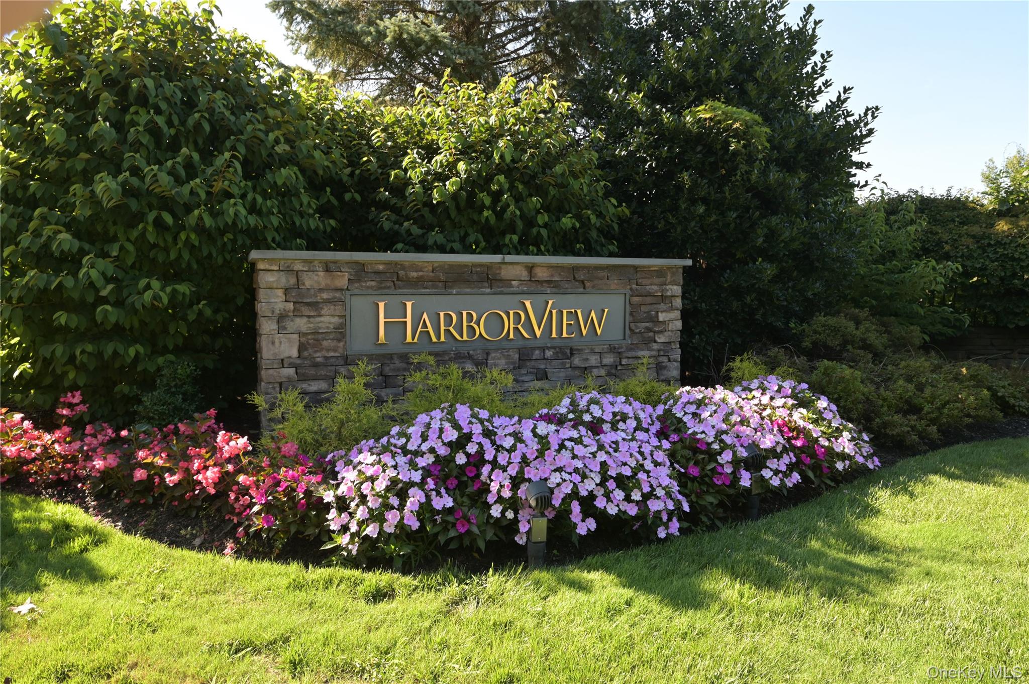 Community View