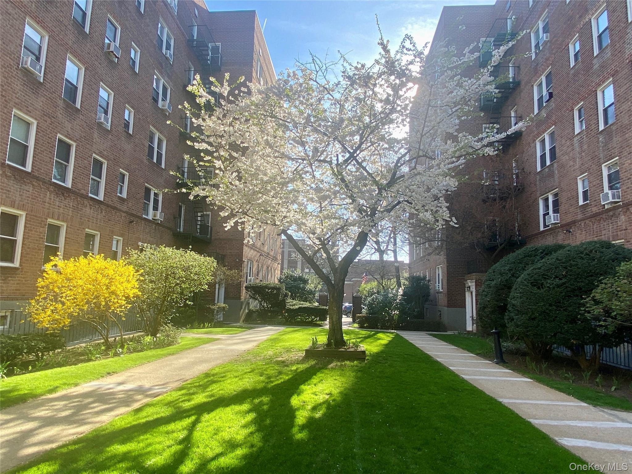 Community View