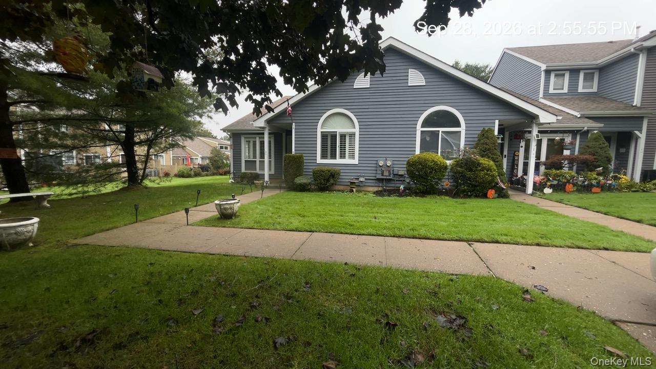 Community View