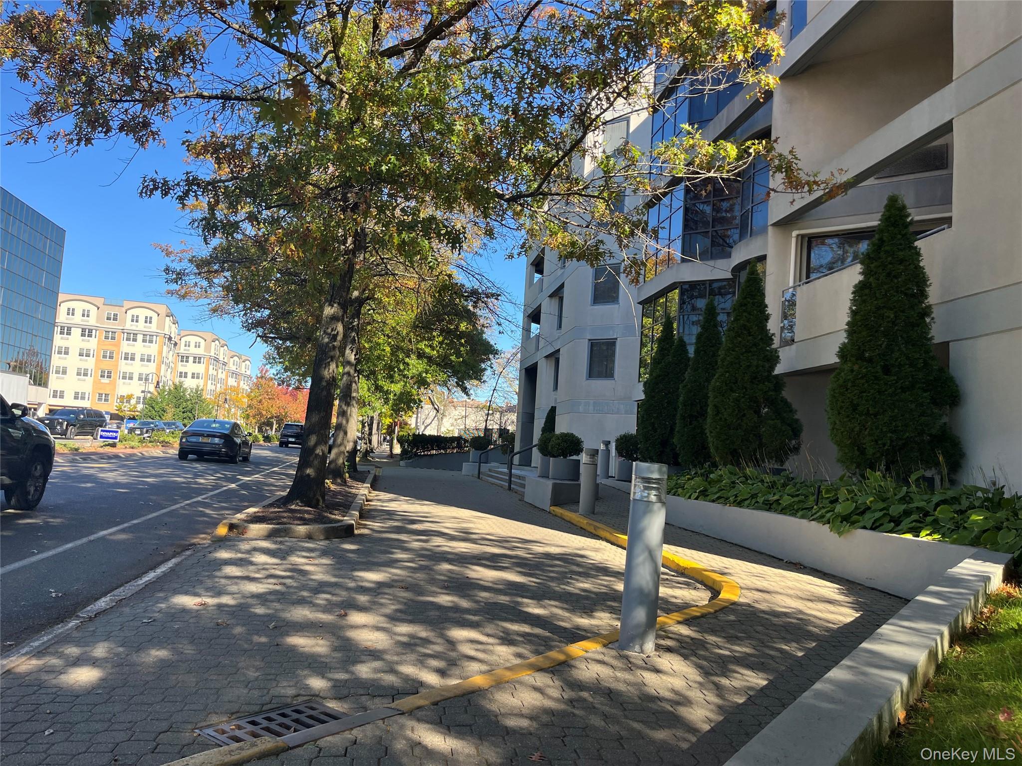 Community View