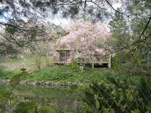 Peaceful Talcott Woods - Carefree living at it's best!