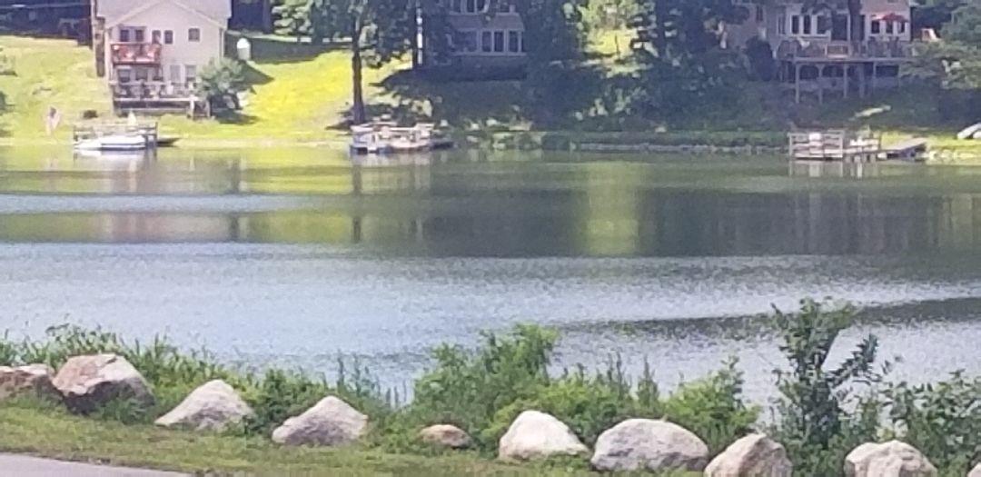 Community View